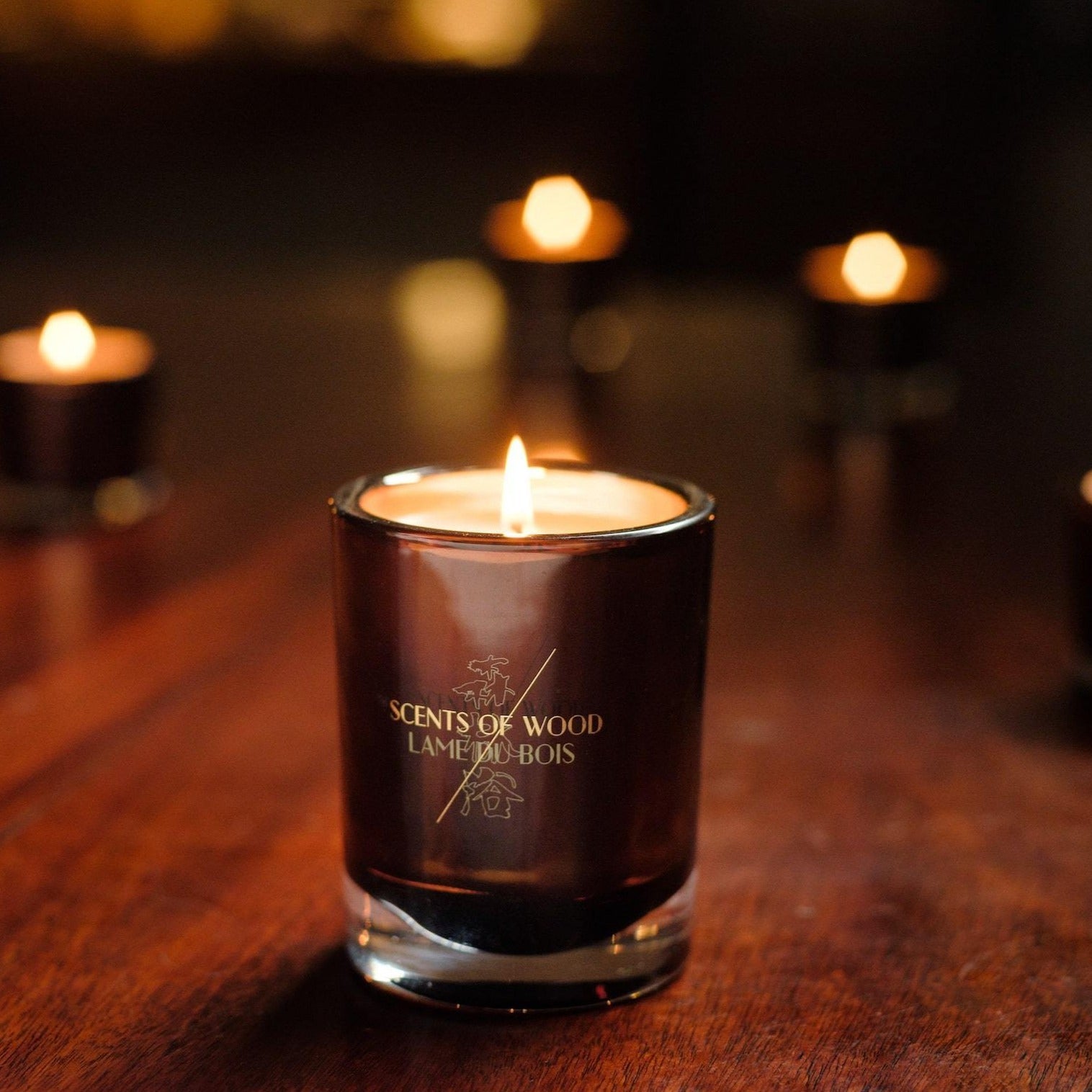 Vetiver in Chestnut Candle - Scents Of Wood